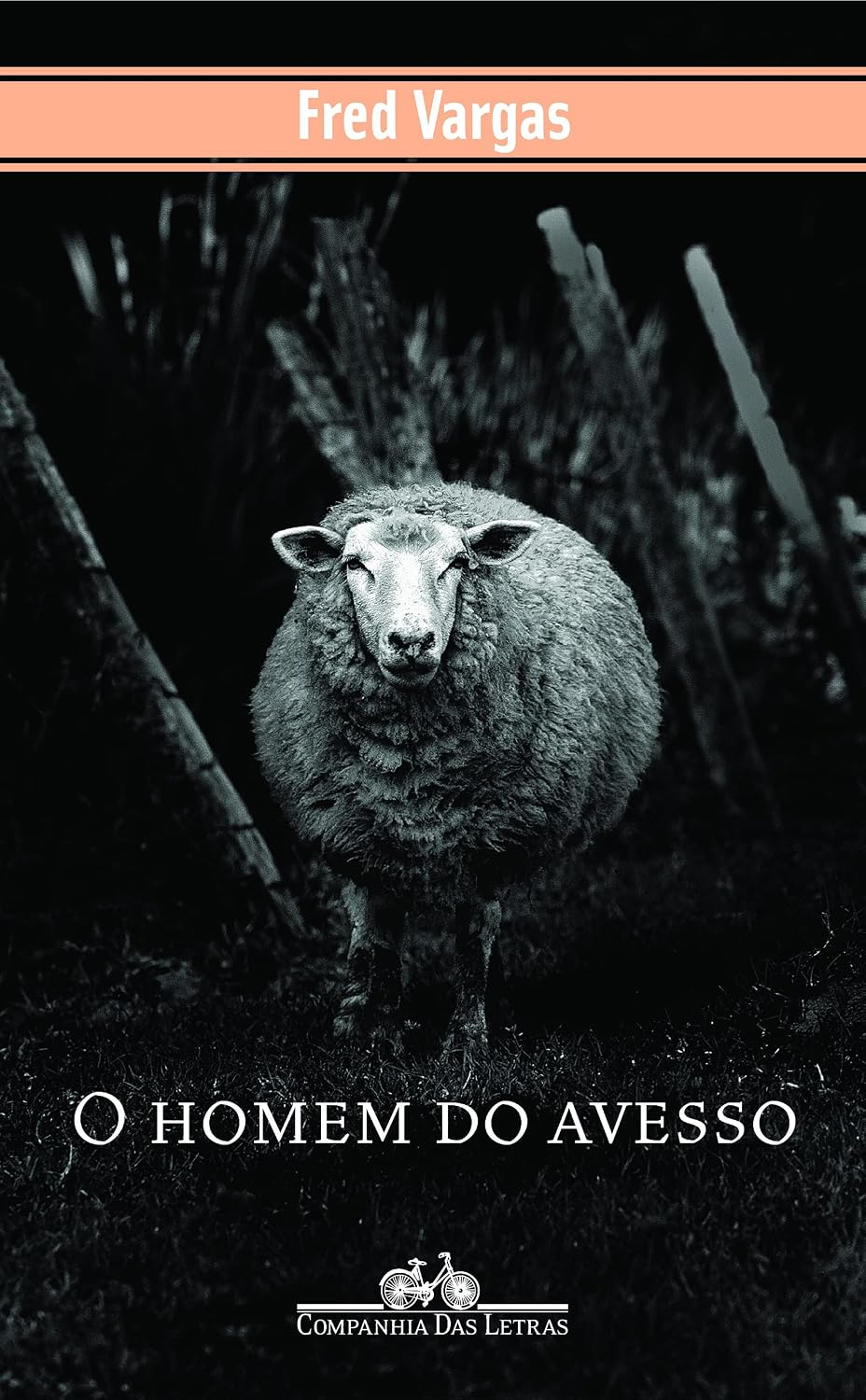 O Homem do Avesso